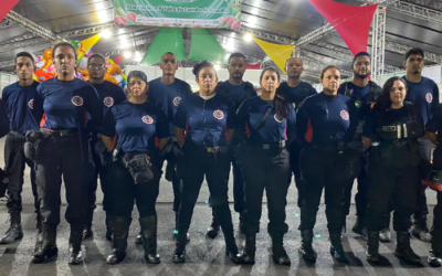 Prestação de Serviço de Brigadista(s)